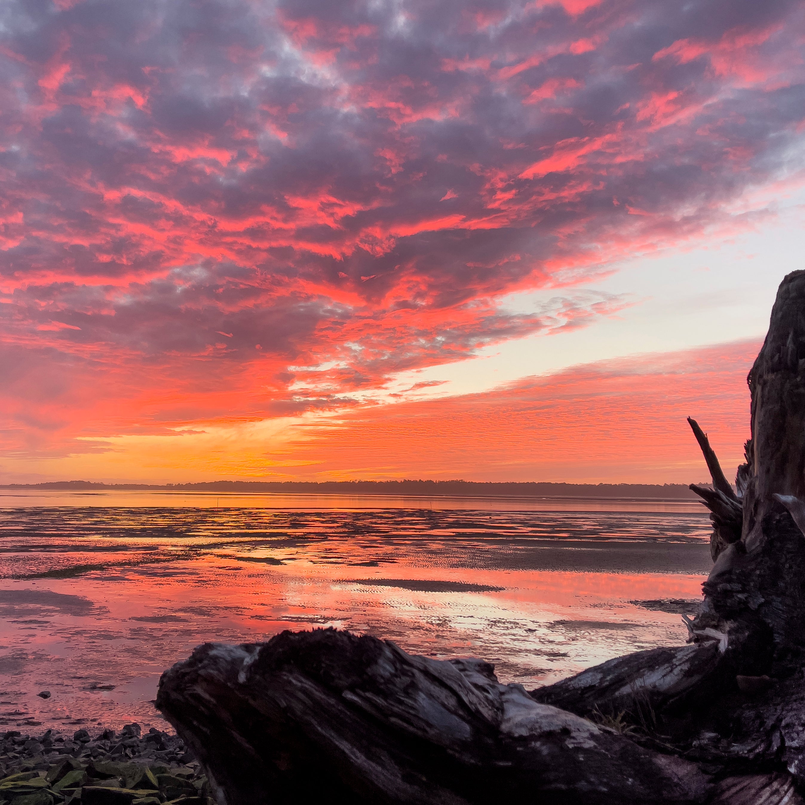Oregon Coast Photos by Matt Kurvin-2.5”x2.5” includes shipping