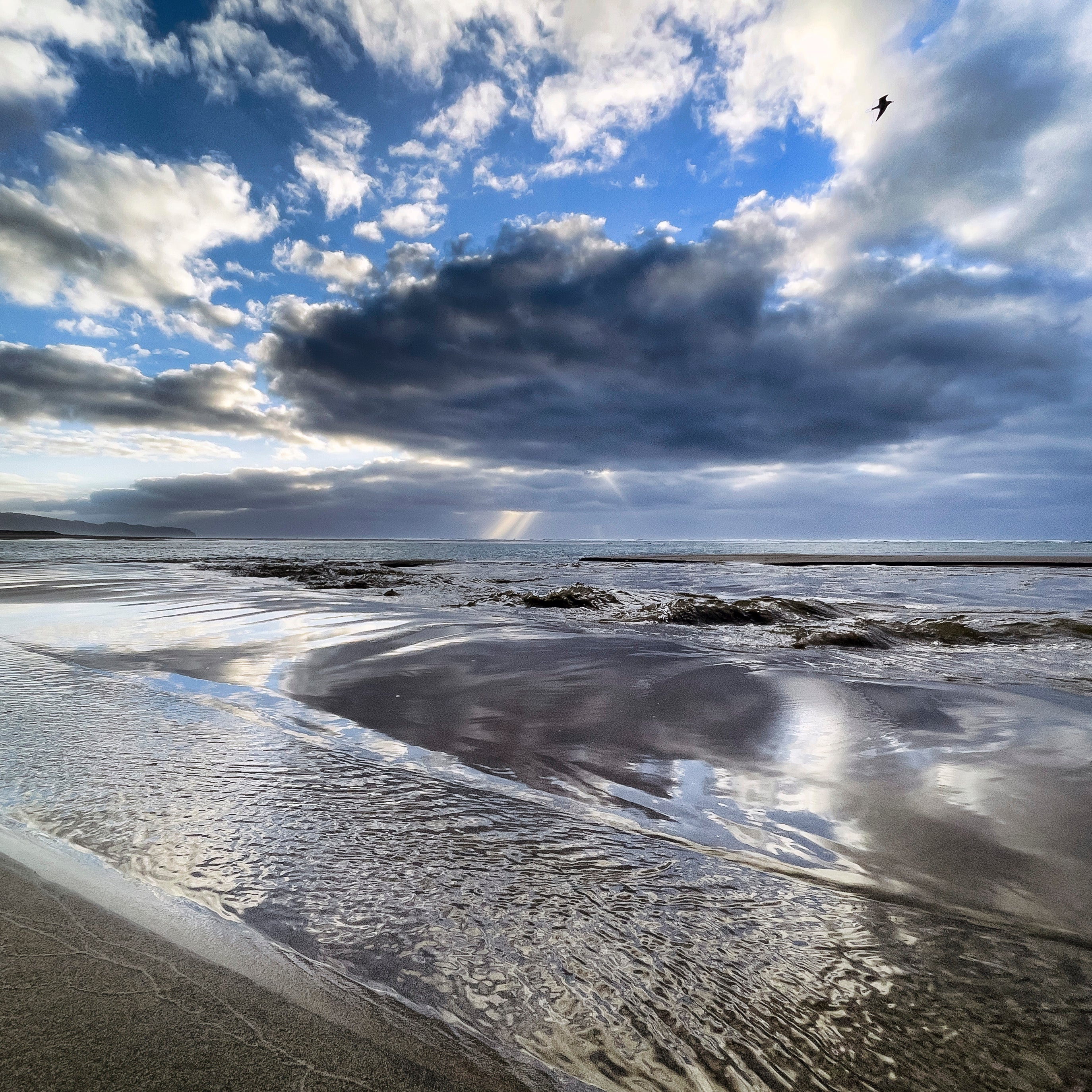 Oregon Coast Photos by Matt Kurvin-2.5”x2.5” includes shipping