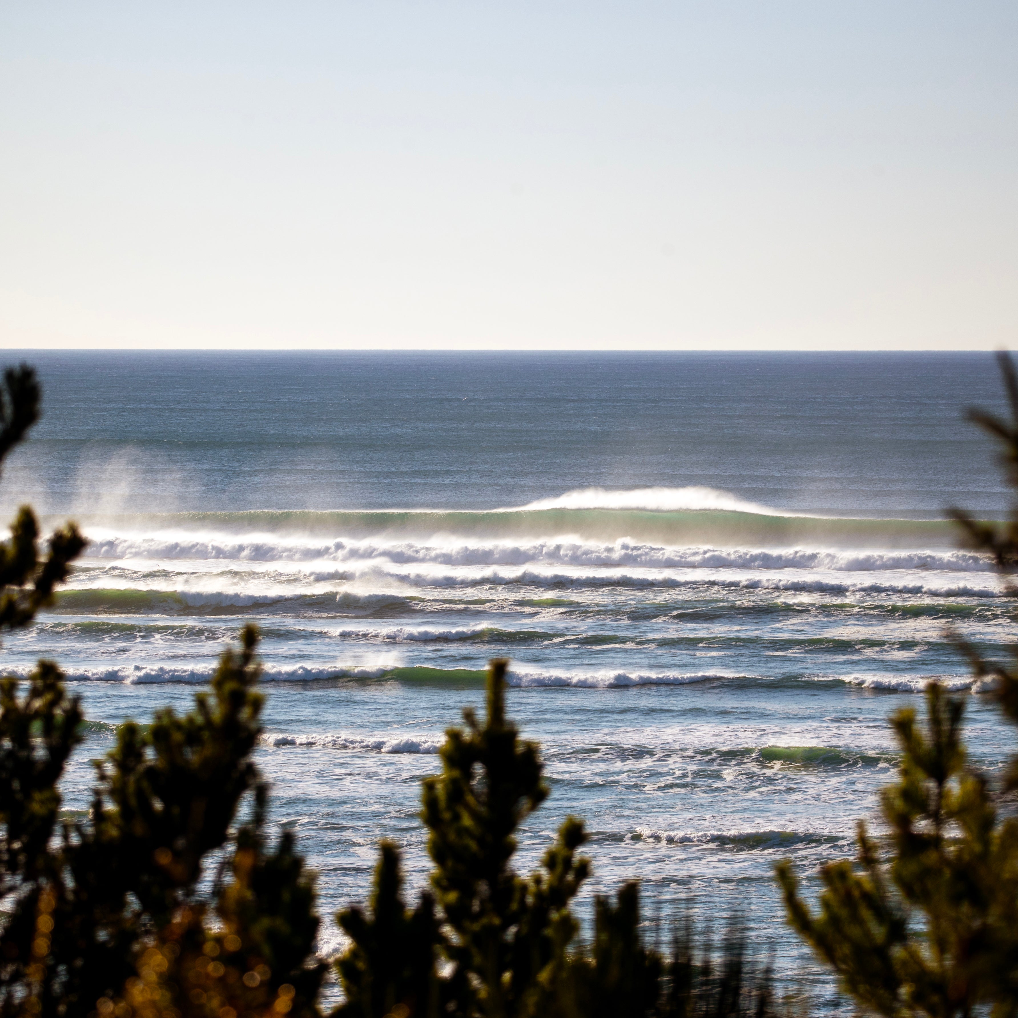 Oregon Coast Photos by Matt Kurvin-2.5”x2.5” includes shipping