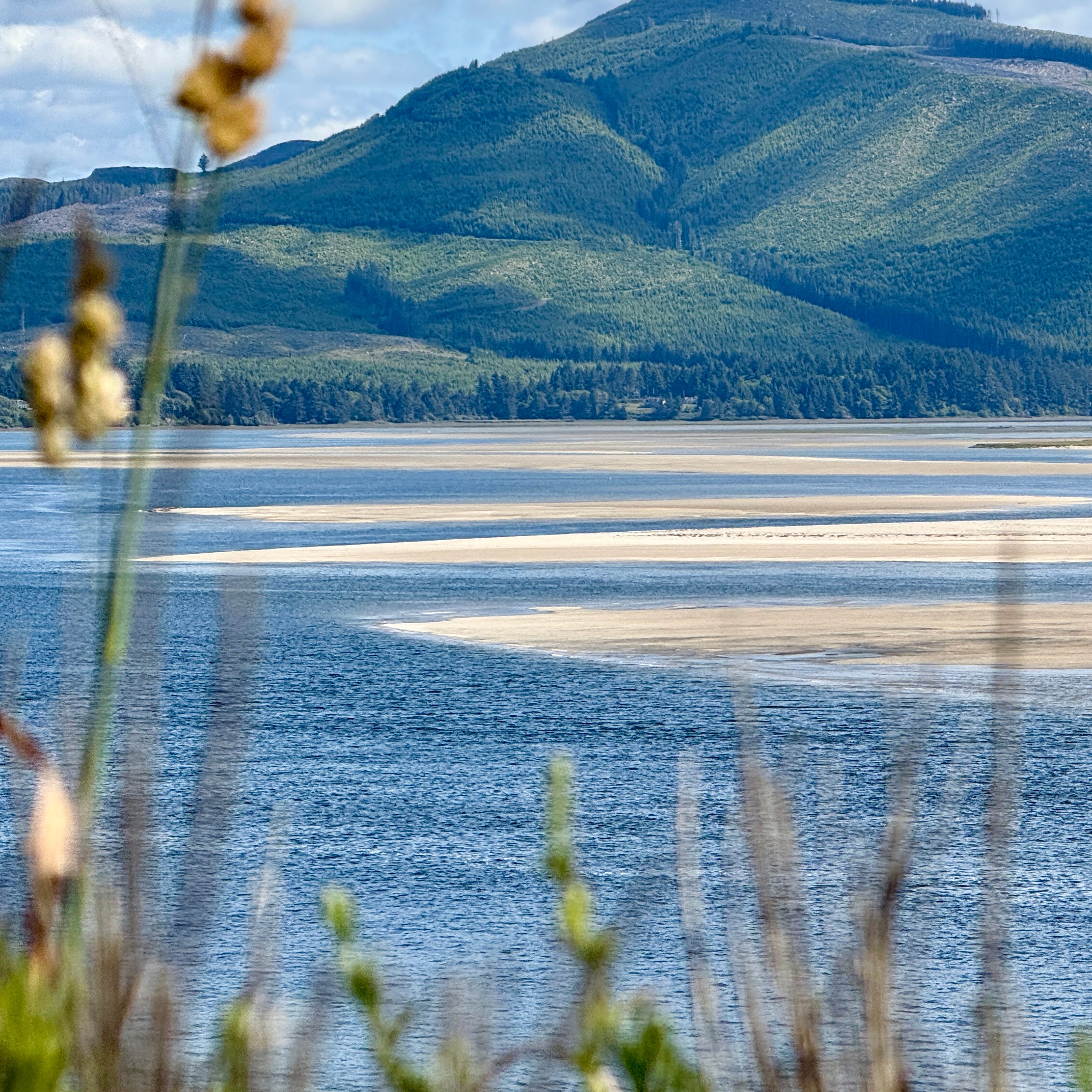 Oregon Coast Photos by Matt Kurvin-2.5”x2.5” includes shipping